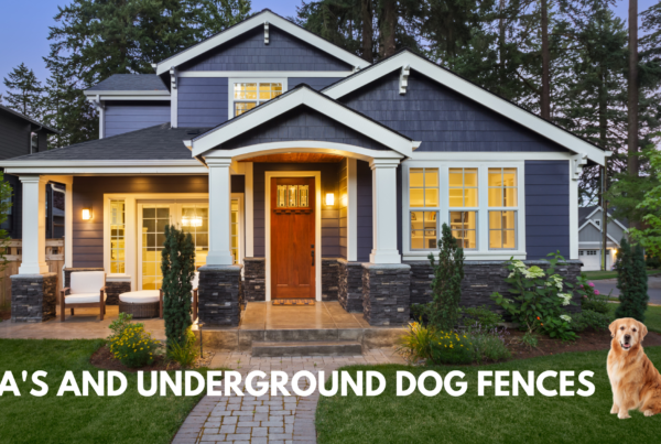 HOA Underground Dog Fence Blog