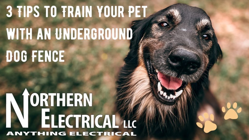 3 Tips to Train Your Pet with an Underground Dog Fence Northern